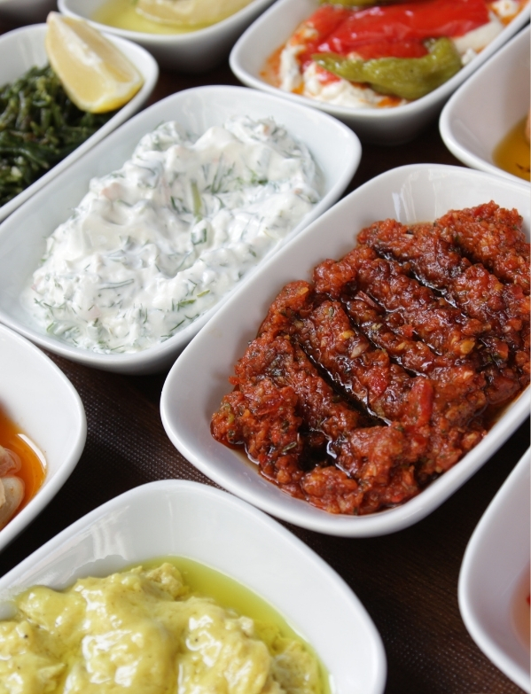 Adsiz tasarim 2026 02 24T134119.906