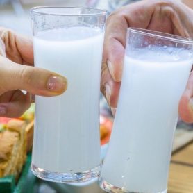 Adsız tasarım - 2026-02-24T143637.471